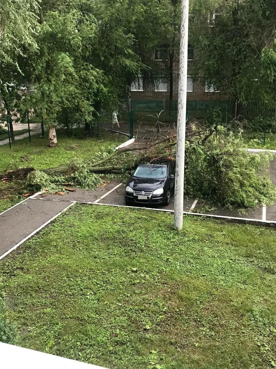 Ураган в Самарской области. Ураган в Тольятти сейчас. Деревья в Сочи. Ливень в Сочи 2022.