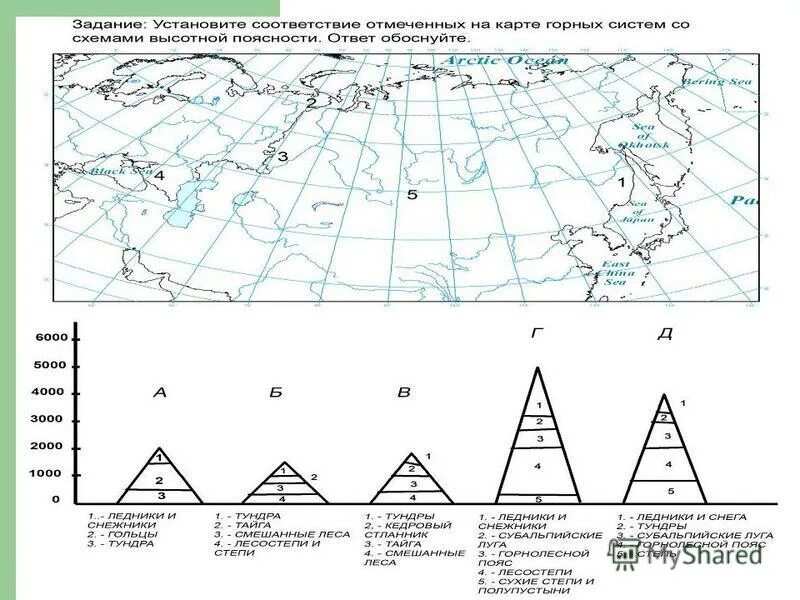 Высотная поясность Сихотэ-Алинь. Высотные пояса Сихотэ Алинь. Высотная поясность Сихотэ Алиня. Схема высотных поясов Сихотэ Алинь. Горные системы высотной поясности на карте