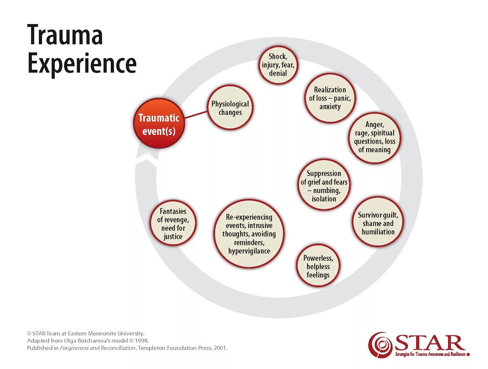 4 your experience. Trauma Reaction. Building Resilience to Trauma. Trauma reporting.