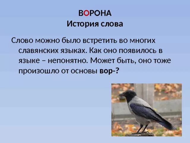 Составь слова ворона. Слово ворона. Словарная работа ворона. Происхождение слова ворона. Ворона рассказ.