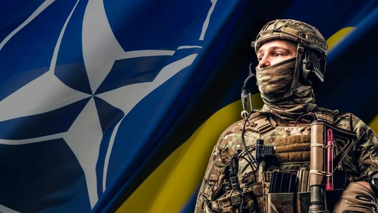 Нато украина против россии. Украина НАТО. США НАТО Украина. Украинские военные. Военные НАТО на Украине.