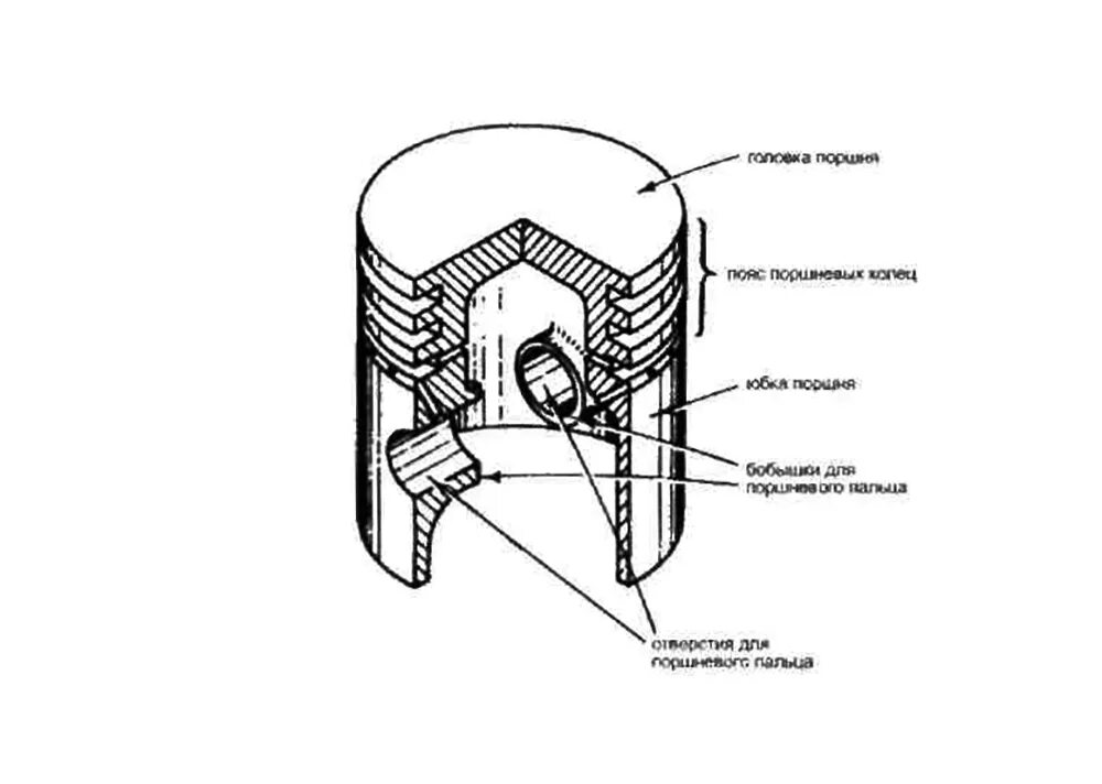 Средняя часть поршня. Поршень дизельного двигателя конструкция. Поперечный разрез поршня автомобильного двигателя. Конструкция поршня ДВС. Устройство поршня дизельного двигателя.