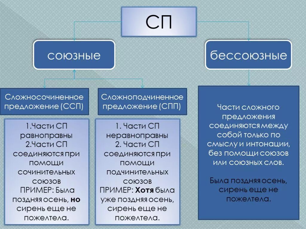 Как отличить сложносочиненное от сложноподчиненного. Союзные и Бессоюзные предложения. Союзые и несоююзные предложения. Сложно союзные и Бессоюзные предложения. Сложные предложения Союзный и без Союзный.