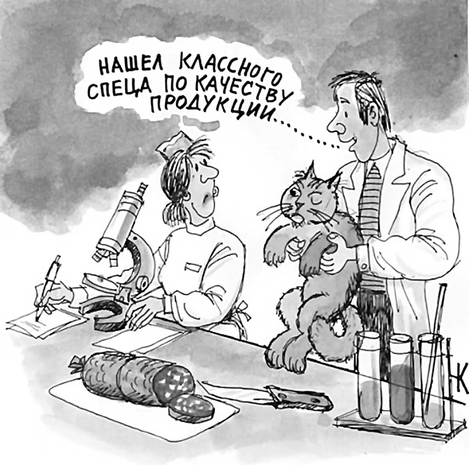 Качество анекдота. Карикатуры смешные. качество карикатура. приколы про качество продукции. шутки про качество продукции.