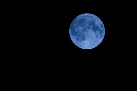 Blue moon of kentucky