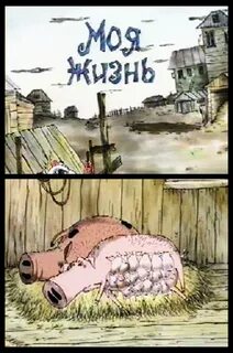 Моя жизнь про поросенка