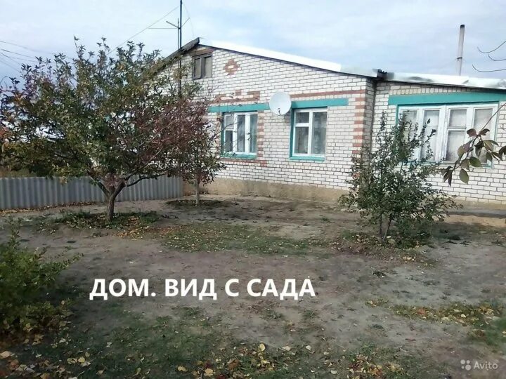 Усть-Погожье Дубовского района Волгоградской. Усть Погожье Дубовский район. Село Усть Погожье Дубовский район. Волгоградская область Дубовский район село Усть-Погожье. Авито дубовка дома купить