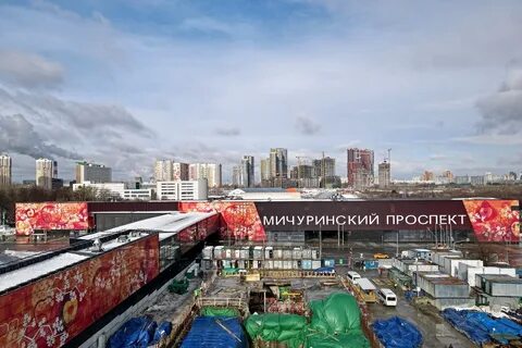 Мичуринский удальцова