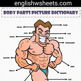 Arm part of body