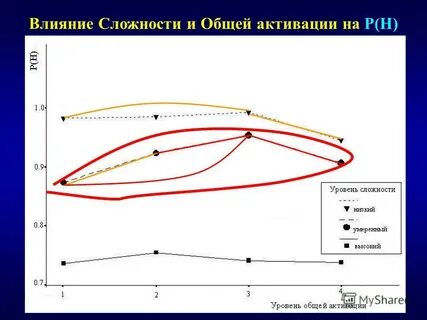 Оптимальная тема