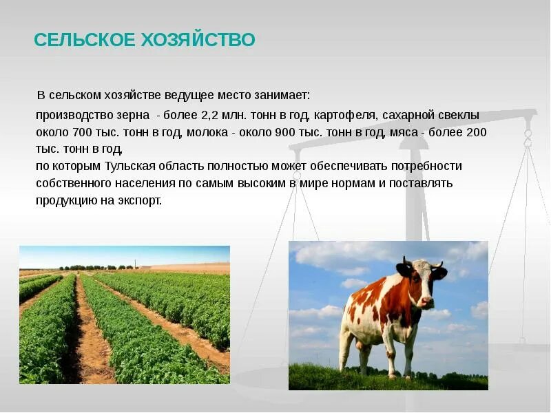Установите какую сельскохозяйственную продукцию и кому