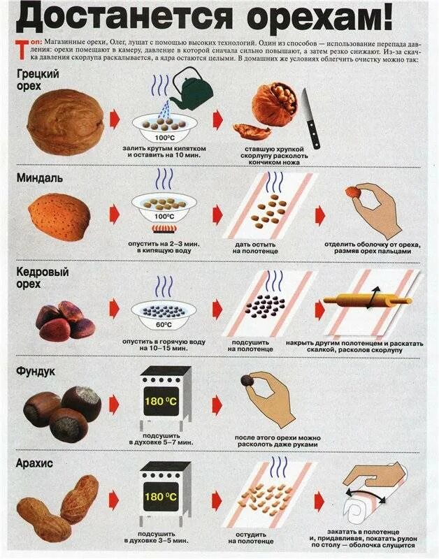 Как очистить кедровые орехи от скорлупы. Как почистить кедровые. Чистилка кедровых орешков. Как чистить кедровые орехи от скорлупы в домашних условиях. Как почистить кедровые.