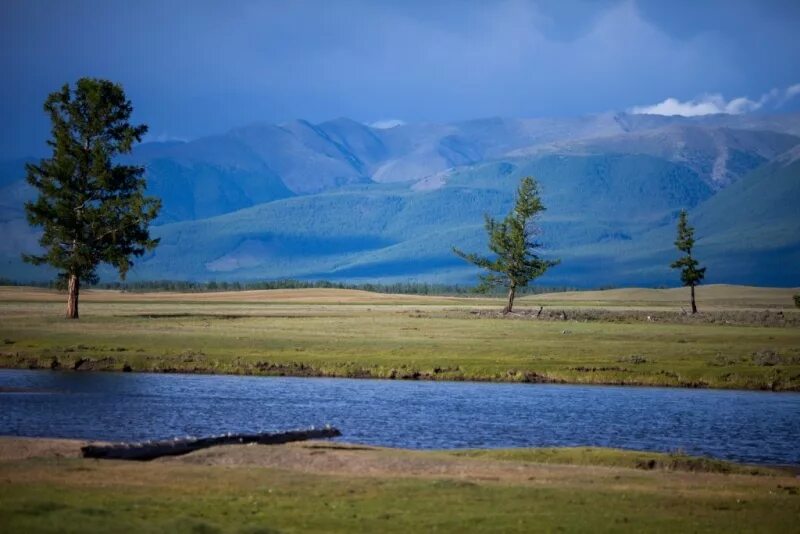смотровая на северо-чуйский хребет алтае. горы алтая горного,монголии. алтай монголия. алтай монголия. горный алтай монголия.