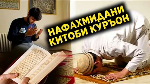 Маъно дорад