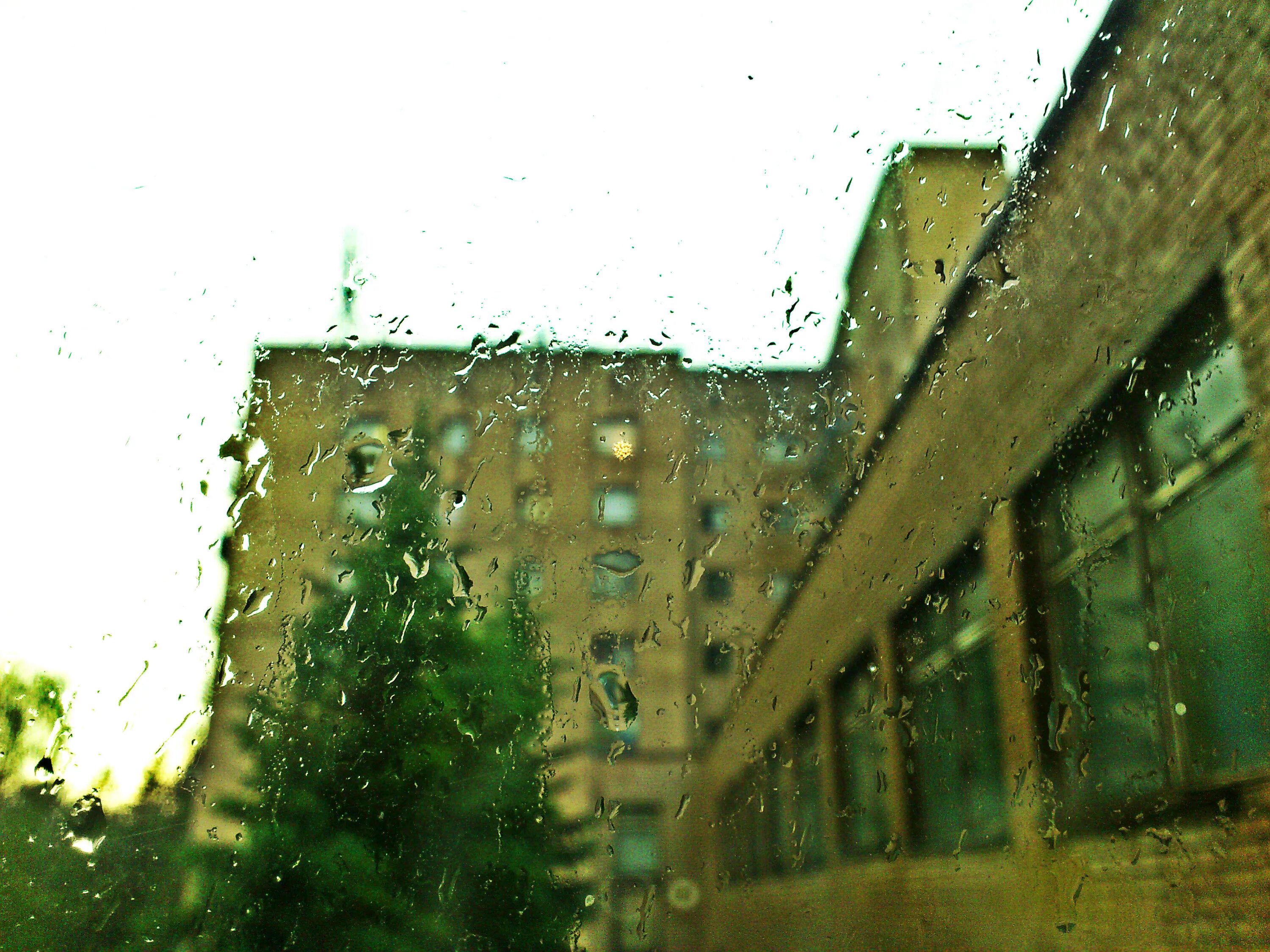 House of rain. Дождь на елку. Фасад дома под дождем. Стена дома дождь. Дождь на улице елка.