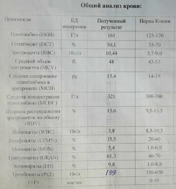 Показатель печени в биохимическом анализе крови. Печёночные показатели крови биохимия. Общий анализ крови у собак. Общий анализ крови печень.