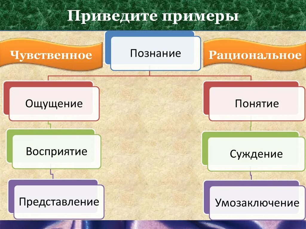 Формы познания. Виды и формы познания. Чувственное познание примеры. Формы познания примеры. Форма познания действительности