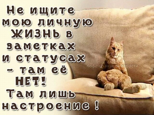 Почему статус. Моя жизнь статусы. личная жизнь статусы. не ищите мою жизнь в статусах. статусы про личную жизнь.