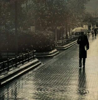 Rain perfect