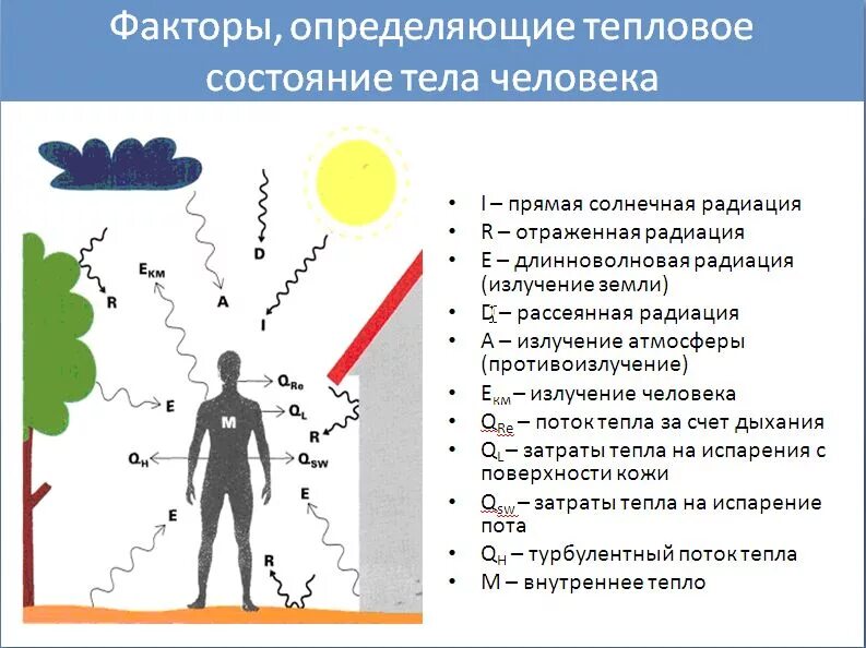 От каких факторов зависит состояние здоровья. Влияние человека на человека. Влияние метеорологических факторов на организм человека. Воздействие солнечного излучения. Солнечная радиация на человека.