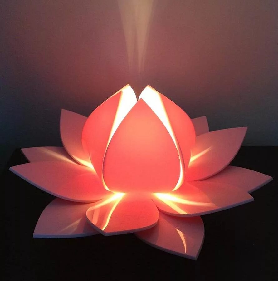 Приложение lotus lamp x