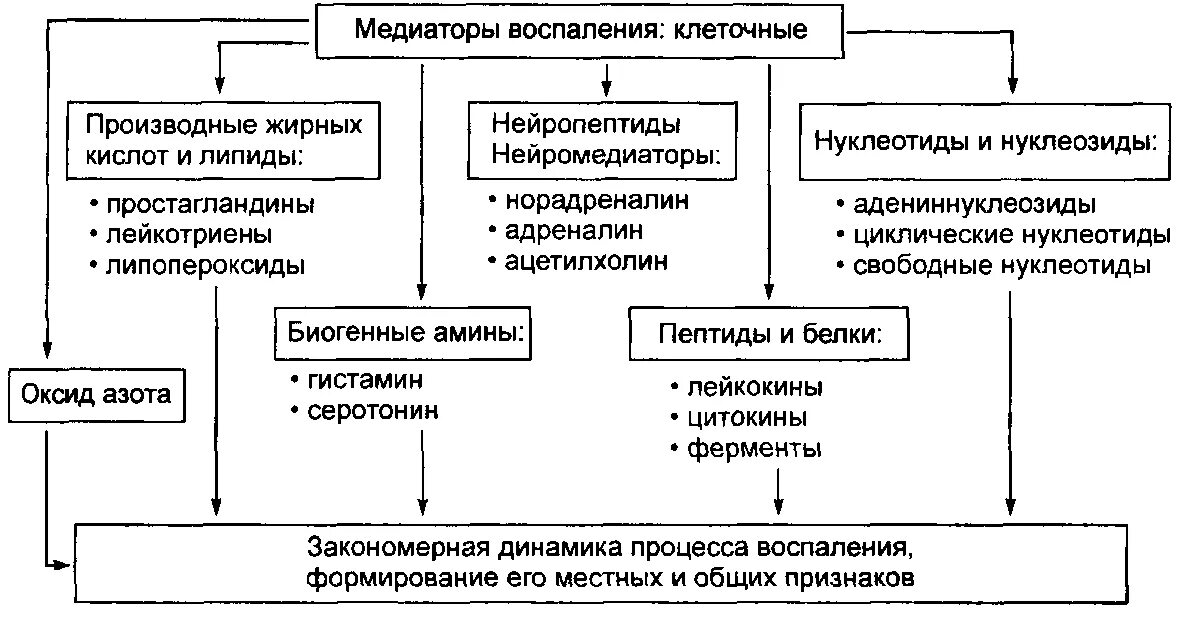 К медиаторам воспаления относятся. Схема плазменных медиаторов воспаления. Основные эффекты медиаторов воспаления таблица. Основные источники клеточных медиаторов воспаления. Эффекты медиаторов воспаления патофизиология.