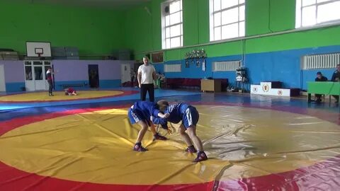 17 легион