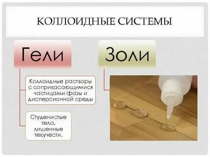 Золи кратко