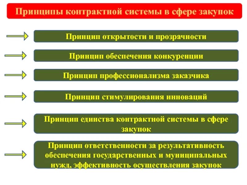 Система контрольной закупки. Принципы контрактной системы в сфере закупок 44-фз. принципы организации закупок. принципы закупки товаров. принципы осуществления закупочной деятельности.