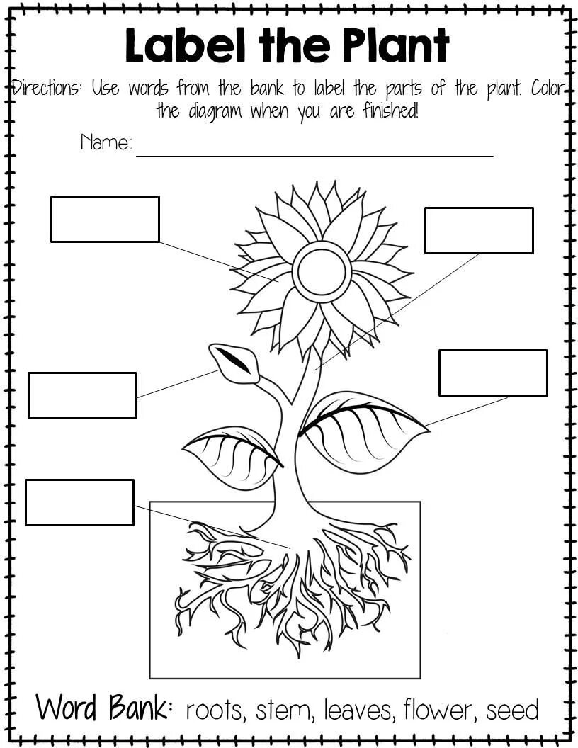 Flower exercise. Worksheets for children English растения. Растения Worksheets for Kids. Plants на английском для детей. Растения задания на английском.