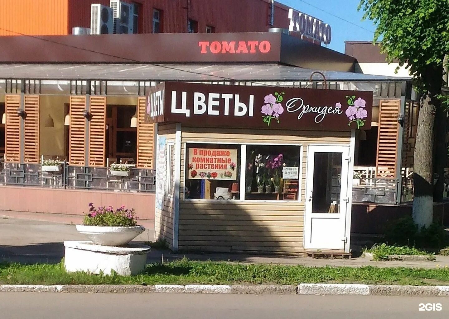 Улица октябрьская цветы