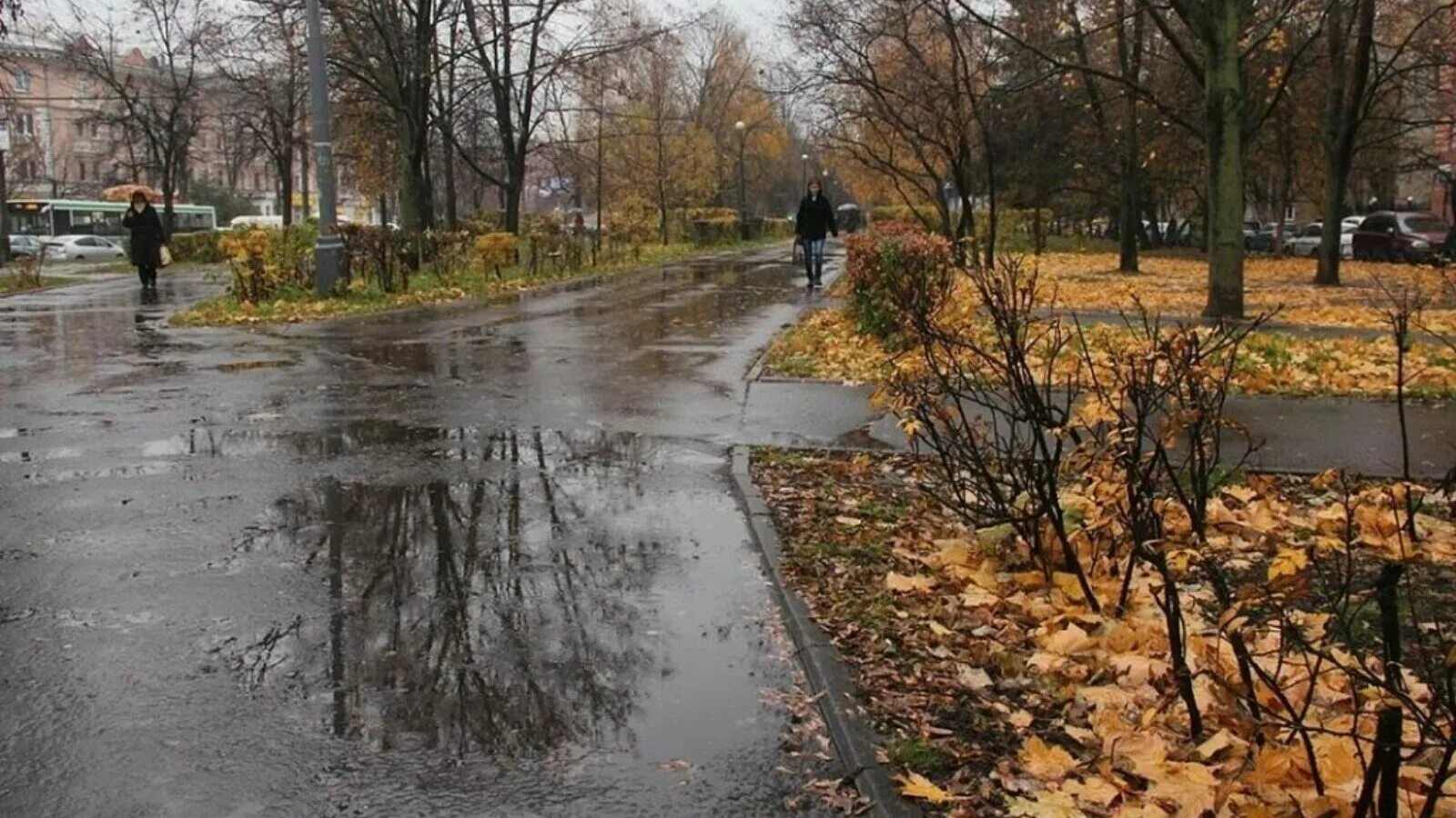 Ноябрь в городе. Поздняя дождливая осень. Поздняя осень в городе. Осенний дождь в городе. Октябрь в разгаре