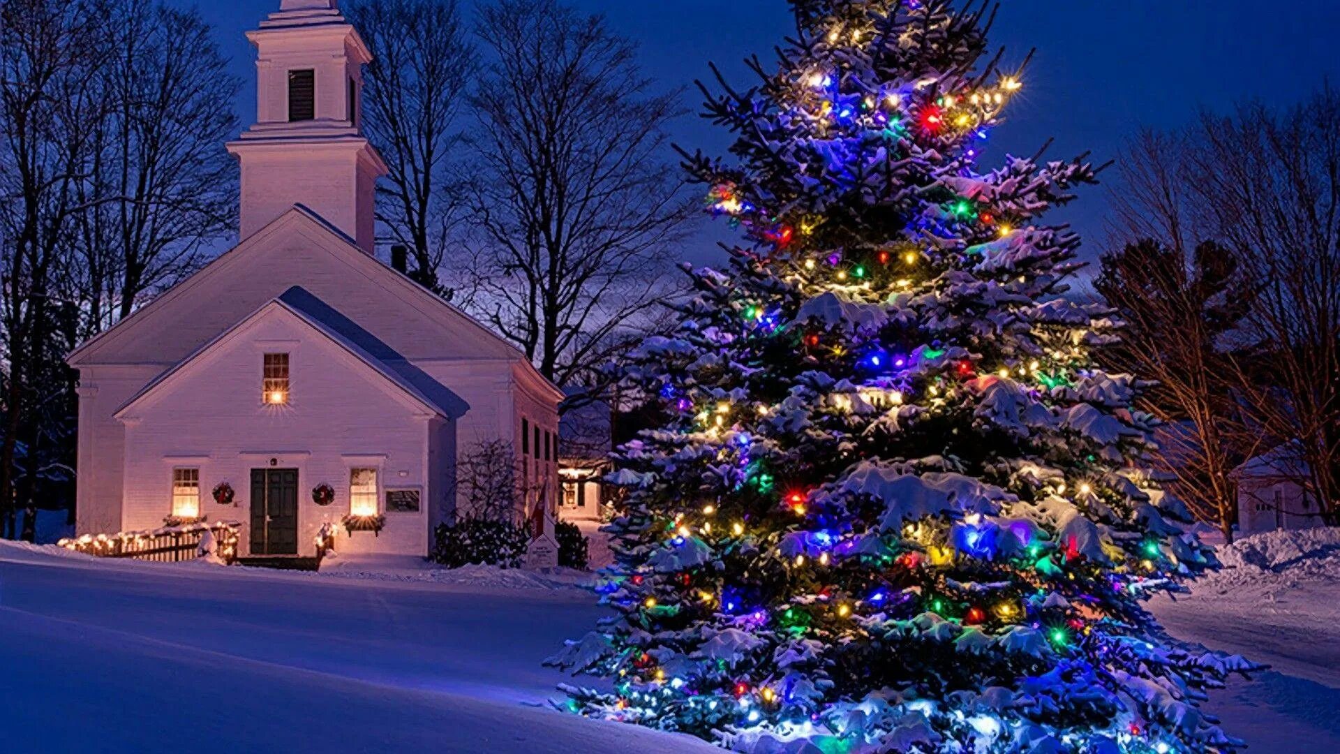 Посреди стояла красивая елка. Рождественская елка. Новогодняя елка на улице. Рождество ель. Новогодний дом.