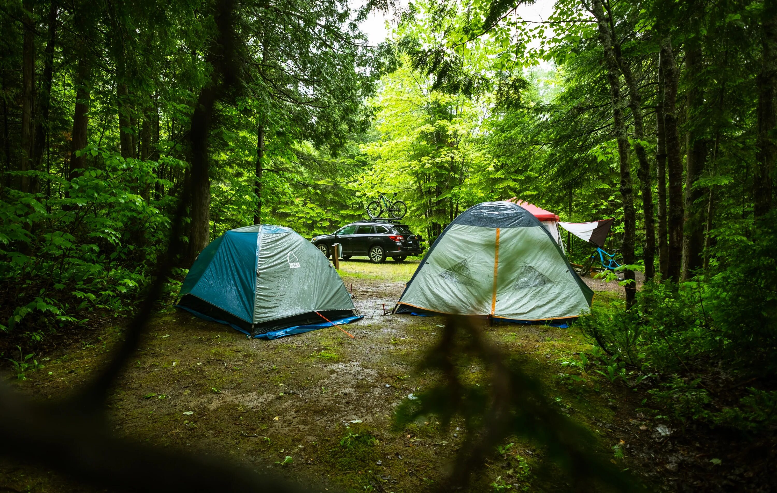 Camping php. Поляна Увильды кемпинг. Палаточный лагерь Увильды. Палатки Форест 2 про. Кемпинг Лесная Поляна.