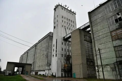 Саратовский комбинат