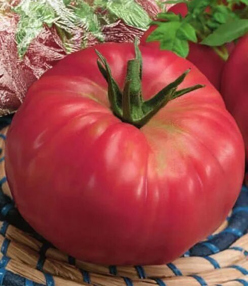 андреевский сюрприз отзывы. андреевский сюрприз отзывы. сибирский сад. томат андреевский сюрприз характеристика. пламенный сюрприз томат.