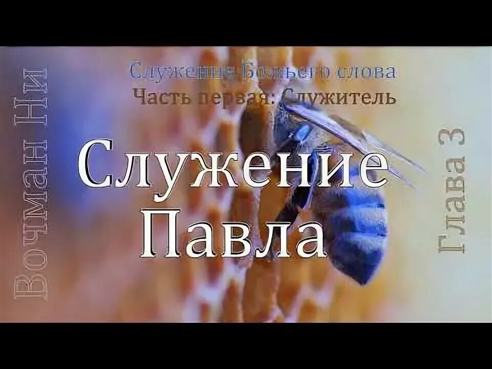Многолетние текст для диакона. Даг хьюард милс фейсбук. Служитель слова. Владыка питирим волоколамский. Детский служитель книга без слов.