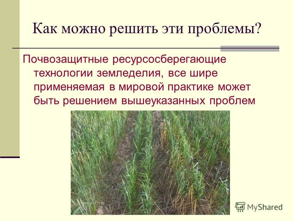 Почвозащитное и ресурсосберегающее земледелие. Почвозащитное ресурсосберегающее земледелие. Почвозащитное ресурсосберегающее земледелие технология. Почвозащитное земледелие. Технология стрип тилл.