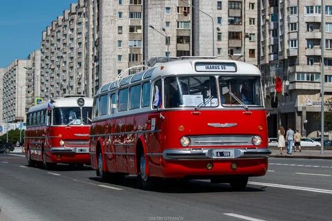 Автобус 95 спб