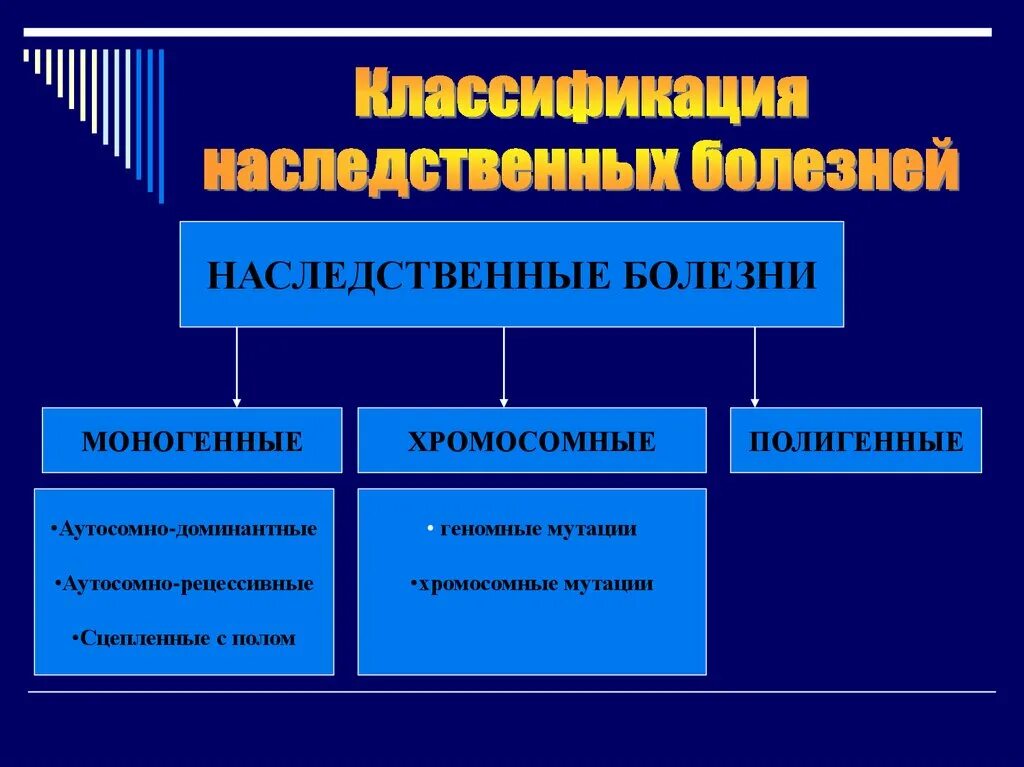 Классификация наследственных. Классификация наследственных болезней человека схема. классификация моногенных наследственных болезней. классификация моногенных и хромосомных болезней. каковы принципы классификации наследственных болезней.