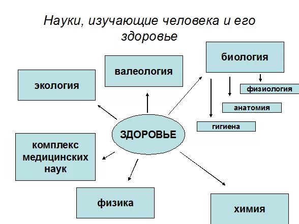 Какая биологическая наука изучает человека. Наука изучающая здоровье человека. Науки изучающие человека и его здоровье. Науки ищучающие органищм человек. Науки о здоровье человека список.