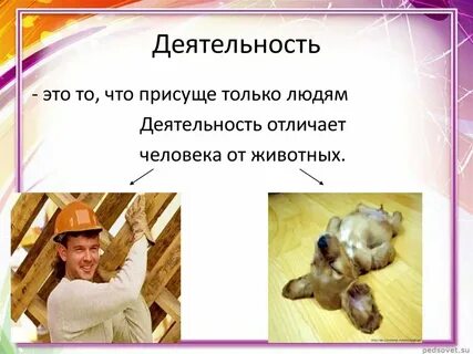 Свою деятельность может только человек