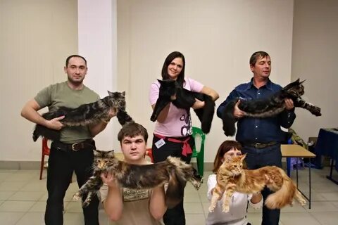 Кун ростов