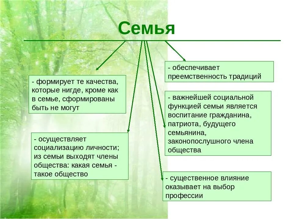 Качества семейного человека. Формирование личности в семье. Воспитание личности в семье. Социализация ребенка в семье. Принципы семейного воспитания детей.