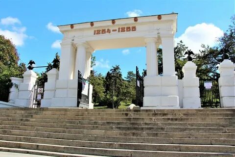 Севастополе где принимает