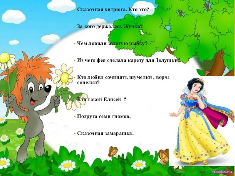 Жучку значение. Жучку значение