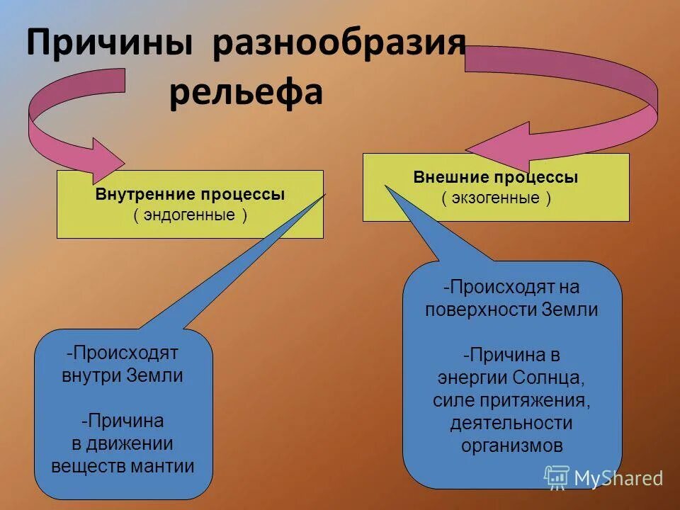 Объясните причины разнообразия
