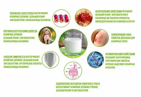 Когда лучше пить кефир для работы кишечника