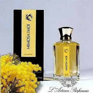 Запах мимозы духи