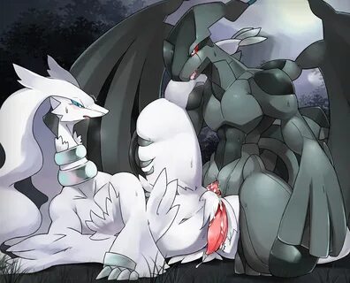 Reshiram porn.